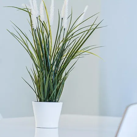 아파트 Il Mare 1,2,4 *